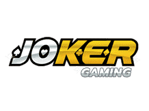 international sudoku day
